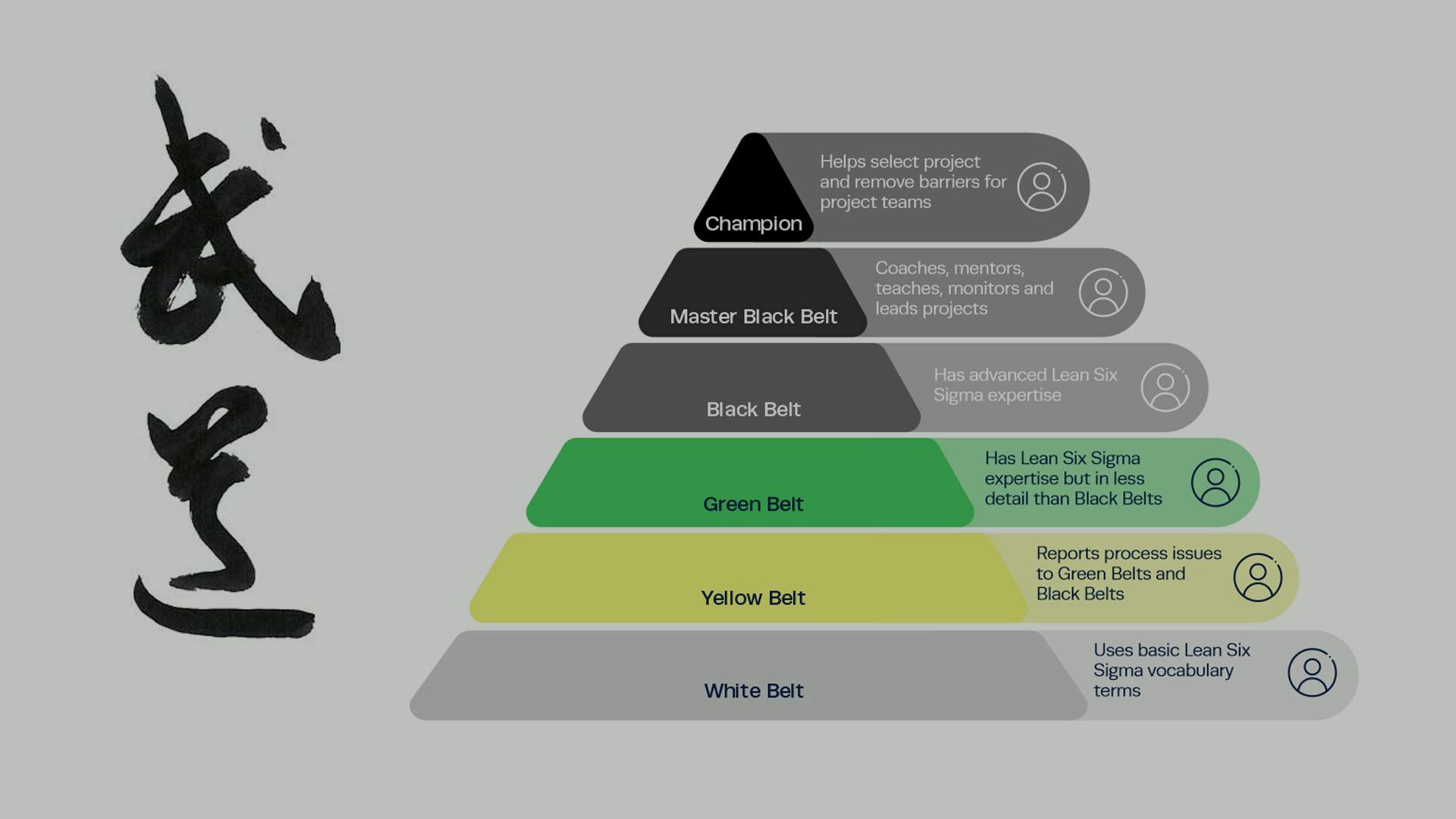 Budo Lean Six Sigma Red Learning